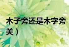 木子旁還是木字旁（木子旁字旁的字和什么有關(guān)）