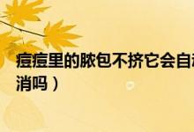 痘痘里的膿包不擠它會自動消下去嗎（膿包痘痘不擠會自然消嗎）