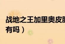 戰(zhàn)地之王加里奧皮膚特效（戰(zhàn)地之王加里奧稀有嗎）