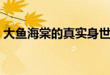 大魚海棠的真實(shí)身世（大魚海棠的真正含義）