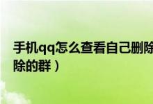 手機qq怎么查看自己刪除的好友（手機QQ怎么查看自己刪除的群）