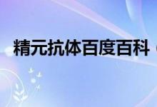 精元抗體百度百科（精元抗體多說明什么）