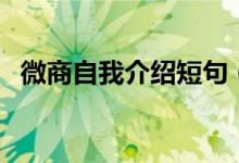 微商自我介紹短句（微商自我介紹怎么寫(xiě)）
