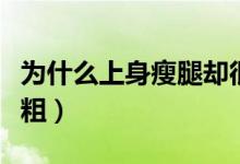 為什么上身瘦腿卻很粗（為什么上身瘦腿卻很粗）