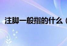 注腳一般指的什么（腳注是什么 腳注簡述）