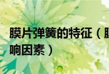 膜片彈簧的特征（膜片彈簧的彈性特性及其影響因素）
