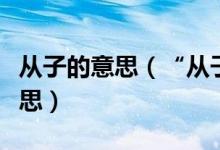 從子的意思（“從子”、“再從子”是什么意思）