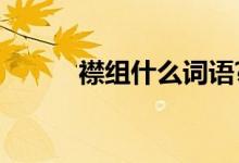 襟組什么詞語?（襟組什么詞語）