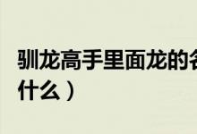 馴龍高手里面龍的名字（馴龍高手里的龍都叫什么）