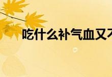 吃什么補(bǔ)氣血又不上火（吃什么補(bǔ)氣）