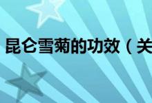 昆侖雪菊的功效（關于昆侖雪菊的好處介紹）