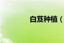 白芨種植（具體介紹如下）