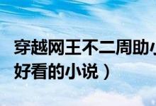 穿越網(wǎng)王不二周助小心（有什么網(wǎng)王不二周助好看的小說）