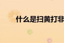 什么是掃黃打非（什么是掃黃打非）