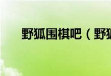 野狐圍棋吧（野狐圍棋網(wǎng)是什么東東）