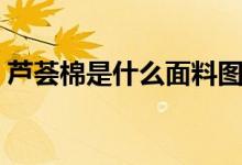 蘆薈棉是什么面料圖片（蘆薈棉是什么面料）