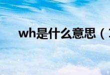 wh是什么意思（19ss 19fw什么意思）
