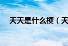 天天是什么梗（天天就是天天是什么梗）