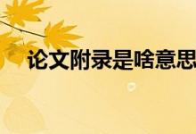 論文附錄是啥意思（論文附錄什么意思）