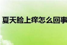 夏天臉上癢怎么回事（夏天臉上癢怎么回事）