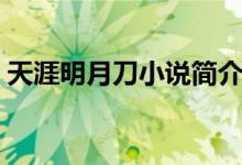天涯明月刀小說簡介（天涯明月刀小說介紹）
