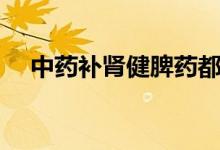 中藥補腎健脾藥都有哪些（趕緊來看看）