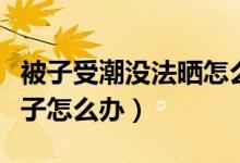 被子受潮沒法曬怎么辦（宿舍潮濕沒辦法曬被子怎么辦）