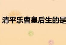 清平樂曹皇后生的是誰（曹皇后沒有生孩子）