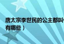 唐太宗李世民的公主都叫什么名字（唐朝李世民時代的公主有哪些）