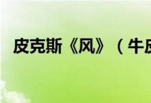 皮克斯《風(fēng)》（牛皮克拉斯風(fēng)是什么意思）