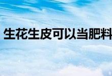 生花生皮可以當(dāng)肥料嗎（生花生皮可以吃嗎）