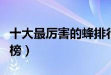 十大最厲害的蜂排行榜（最厲害的十大蜂排行榜）