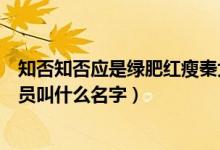 知否知否應(yīng)是綠肥紅瘦秦大娘子演員（知否知否秦大娘子演員叫什么名字）