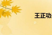 王正功是哪個朝代