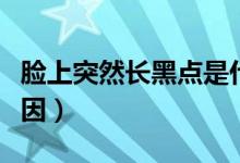 臉上突然長黑點是什么（臉上突然長黑點的原因）