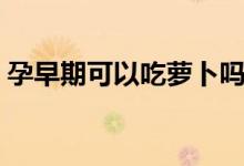 孕早期可以吃蘿卜嗎（孕早期可以吃菠蘿嗎）