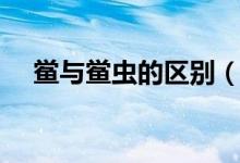 鱟與鱟蟲的區(qū)別（鱟蟲與鱟是什么關(guān)系）