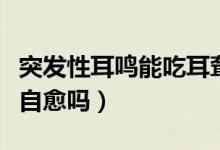 突發(fā)性耳鳴能吃耳聾左慈丸嗎（突發(fā)性耳鳴能自愈嗎）