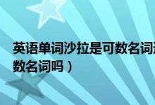 英語單詞沙拉是可數(shù)名詞還是不可數(shù)名詞（英語中沙拉是可數(shù)名詞嗎）