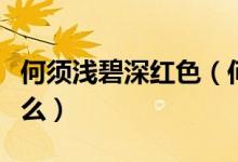 何須淺碧深紅色（何須淺碧輕紅色下一句是什么）