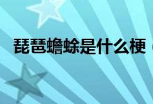 琵琶蟾蜍是什么梗（琵琶蟾蜍是什么意思）