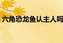六角恐龍魚認(rèn)主人嗎（六角恐龍魚認(rèn)主人嗎）