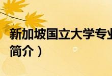 新加坡國立大學(xué)專業(yè)有哪些（新加坡國立大學(xué)簡介）