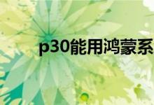 p30能用鴻蒙系統(tǒng)（p30能用5g嗎）