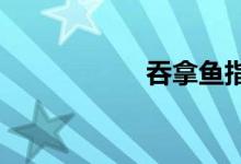 吞拿魚指的是什么魚