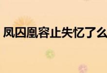 鳳囚凰容止失憶了么（鳳囚凰容止失憶了嗎）