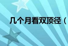 幾個(gè)月看雙頂徑（幾個(gè)月看雙頂徑最準(zhǔn)）