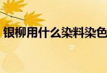 銀柳用什么染料染色（銀柳用什么染料染色）
