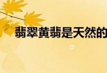 翡翠黃翡是天然的嗎（翡翠黃翡值錢嗎）