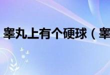 睪丸上有個(gè)硬球（睪丸里面有個(gè)硬球怎么辦）